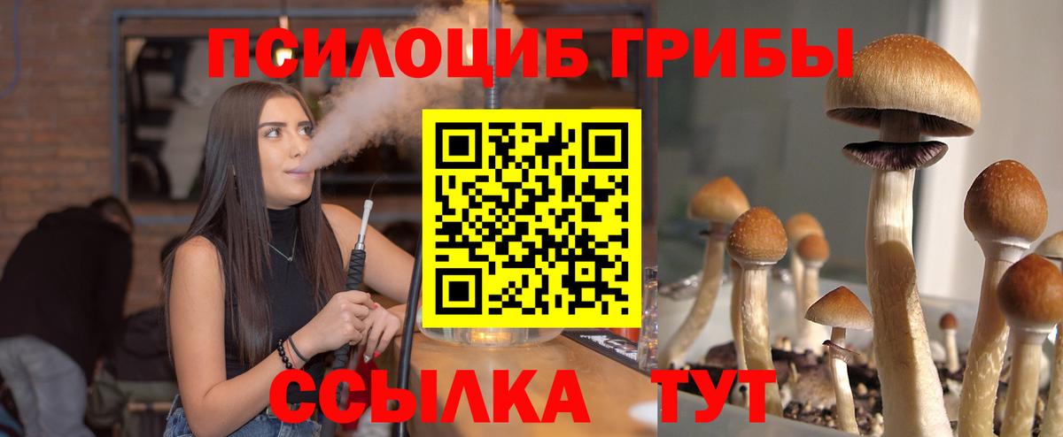 Галлюциногенные грибы мухоморы Новочеркасск